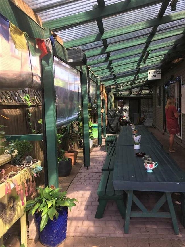 פורט מקווארי Beachside Backpackers מראה חיצוני תמונה